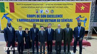 Giải Vovinam Cúp Đại sứ Việt Nam 2025: Lan tỏa Vovinam tại châu Phi
