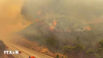 Hàn Quốc: Cháy rừng thiêu rụi ngôi chùa cổ hơn 1.000 năm tuổi