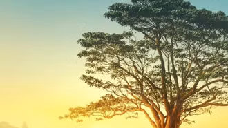 Văn học quảng bá du lịch