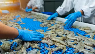 Bộ Công Thương yêu cầu kiểm soát chặt nguyên liệu đầu vào hàng xuất khẩu