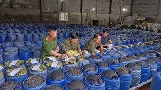 Bắt giữ 4 chủ cơ sở ngâm giá đỗ bằng hóa chất "nước kẹo", đã bán 3.500 tấn