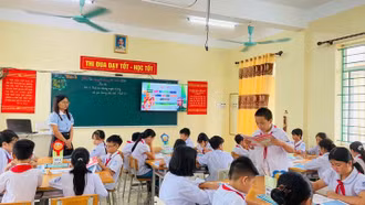 Trường học có bị sáp nhập sau khi không tổ chức đơn vị hành chính cấp huyện?