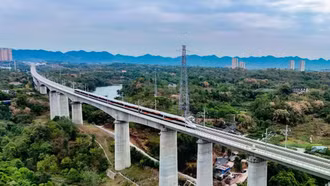 Đề xuất tạm sử dụng rừng để phục vụ thi công đường bộ, đường sắt tốc độ cao