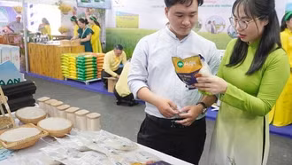 Nâng tầm gạo Việt