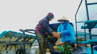 Cải thiện năng lực của các hợp tác xã nông nghiệp
