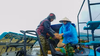 Cải thiện năng lực của các hợp tác xã nông nghiệp