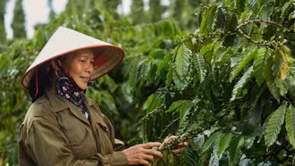 Xuất khẩu nông lâm thủy sản: Cơ hội bứt phá từ đa dạng hóa thị trường, sản phẩm