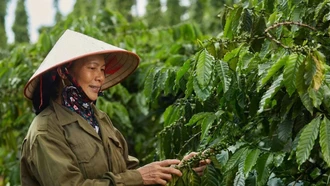 Xuất khẩu nông lâm thủy sản: Cơ hội bứt phá từ đa dạng hóa thị trường, sản phẩm