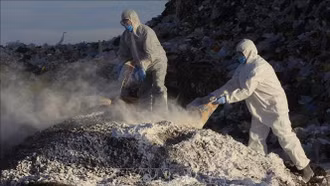 Cúm gia cầm H7N3 bùng phát trở lại tại Mexico sau 13 năm