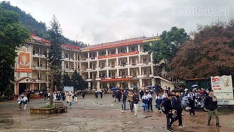 “Lá chắn” vững chắc trong phòng, chống tảo hôn