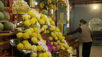 Tu bổ, tôn tạo Di tích lịch sử văn hóa quốc gia đền Cấm đáp ứng nhu cầu du khách dịp Tết Nguyên đán 2026