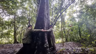 Khám phá vẻ đẹp rừng cấm Na Đẩy