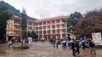 “Lá chắn” vững chắc trong phòng, chống tảo hôn