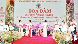 Tọa đàm Ngày Quốc tế Người cao tuổi và Tháng hành động vì Người cao tuổi Việt Nam năm 2025