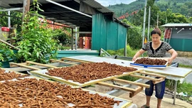 Bức tranh kinh tế ở Cốc Lầu 