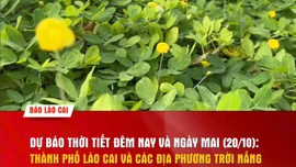 Dự báo thời tiết đêm nay và ngày mai (20/10)