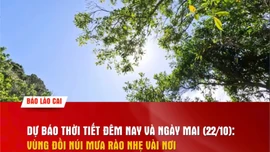 Dự báo thời tiết đêm nay và ngày mai (22/10)