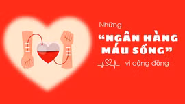 Những “ngân hàng máu sống” vì cộng đồng
