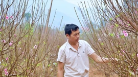 [Ảnh] Đào Xuân Quang vào vụ Tết