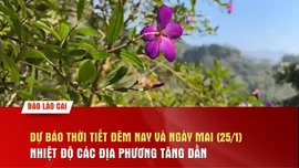 Dự báo thời tiết đêm nay và ngày mai (25/1): Nhiệt độ các địa phương tăng dần