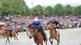 Khai mạc Festival Cao nguyên trắng Bắc Hà 2025 và chung kết Giải đua ngựa truyền thống huyện Bắc Hà lần thứ 18 