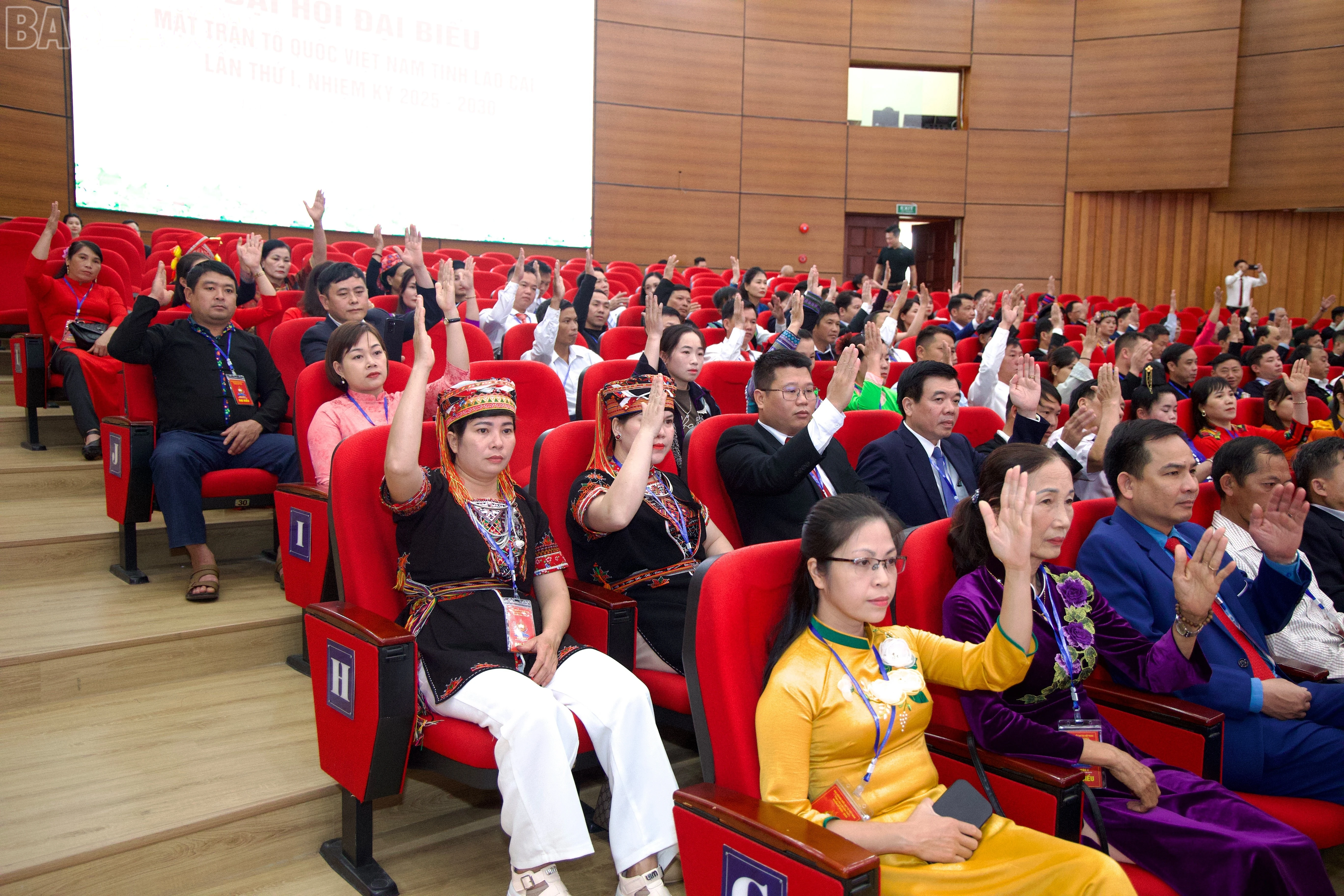 baolaocai-tl_z7175117003491-77ee5d452e776b8a435b8e62ee2adfcb.jpg