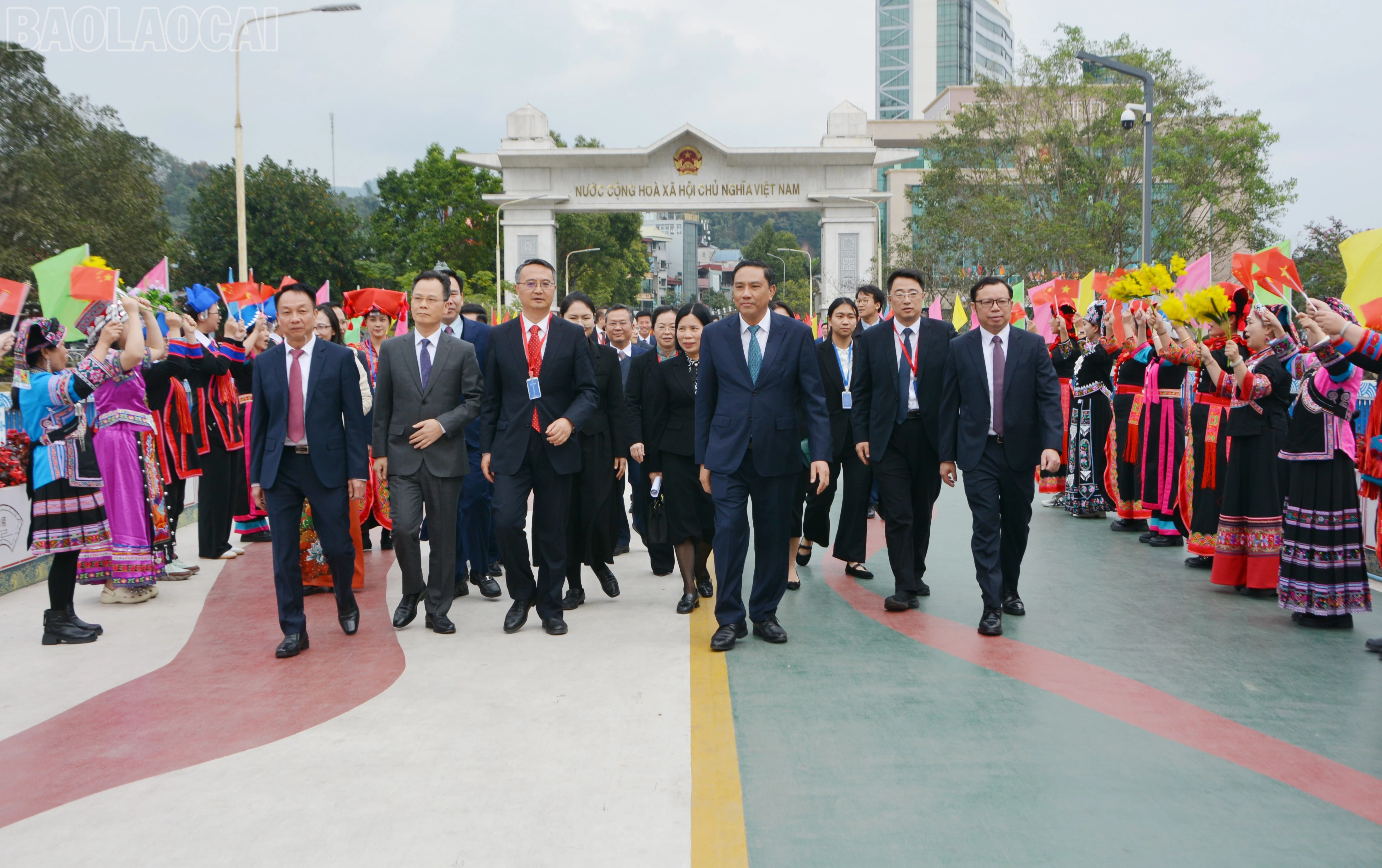 baolaocai-tl_dsc-1301.jpg