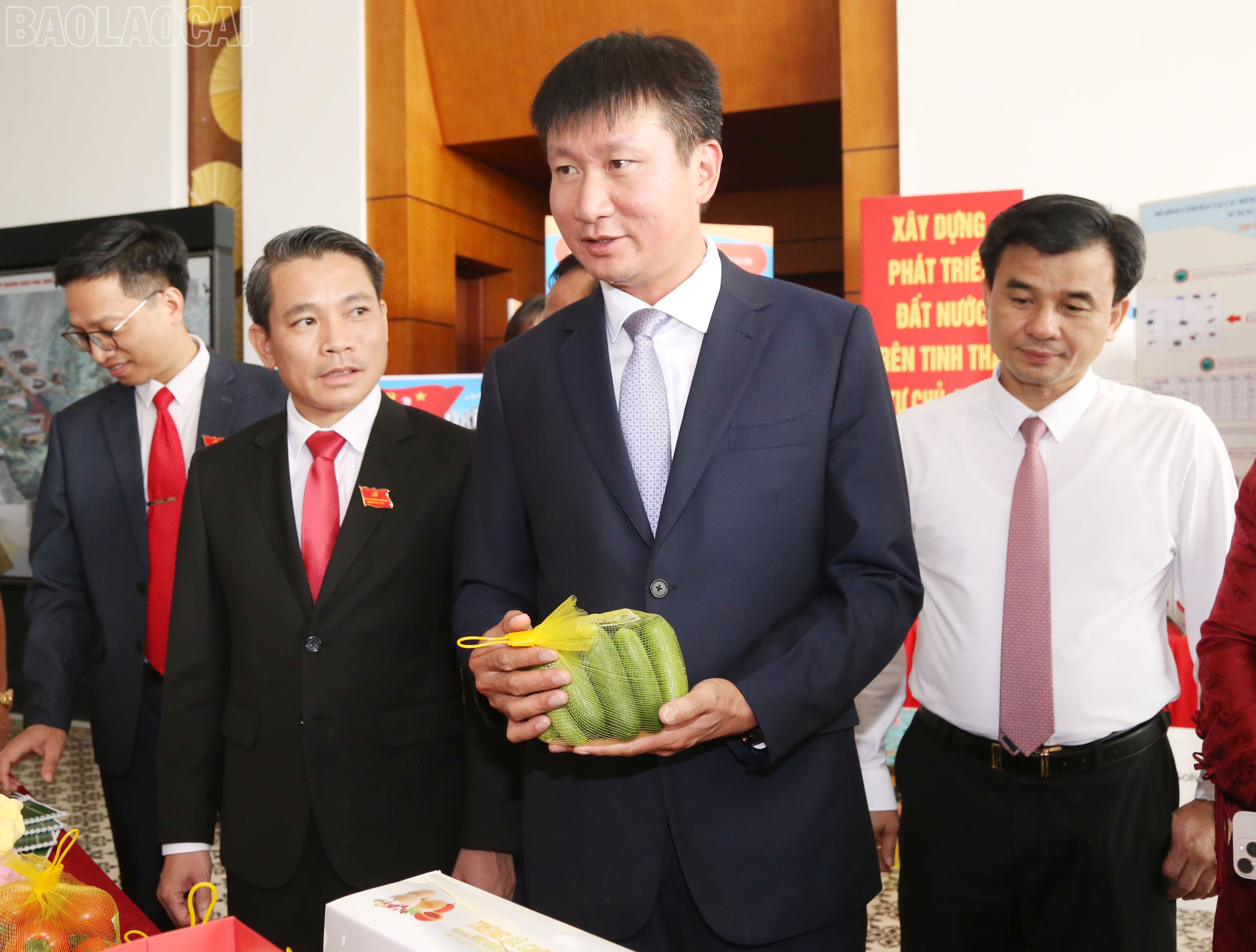 baolaocai-tl_img-7916.jpg