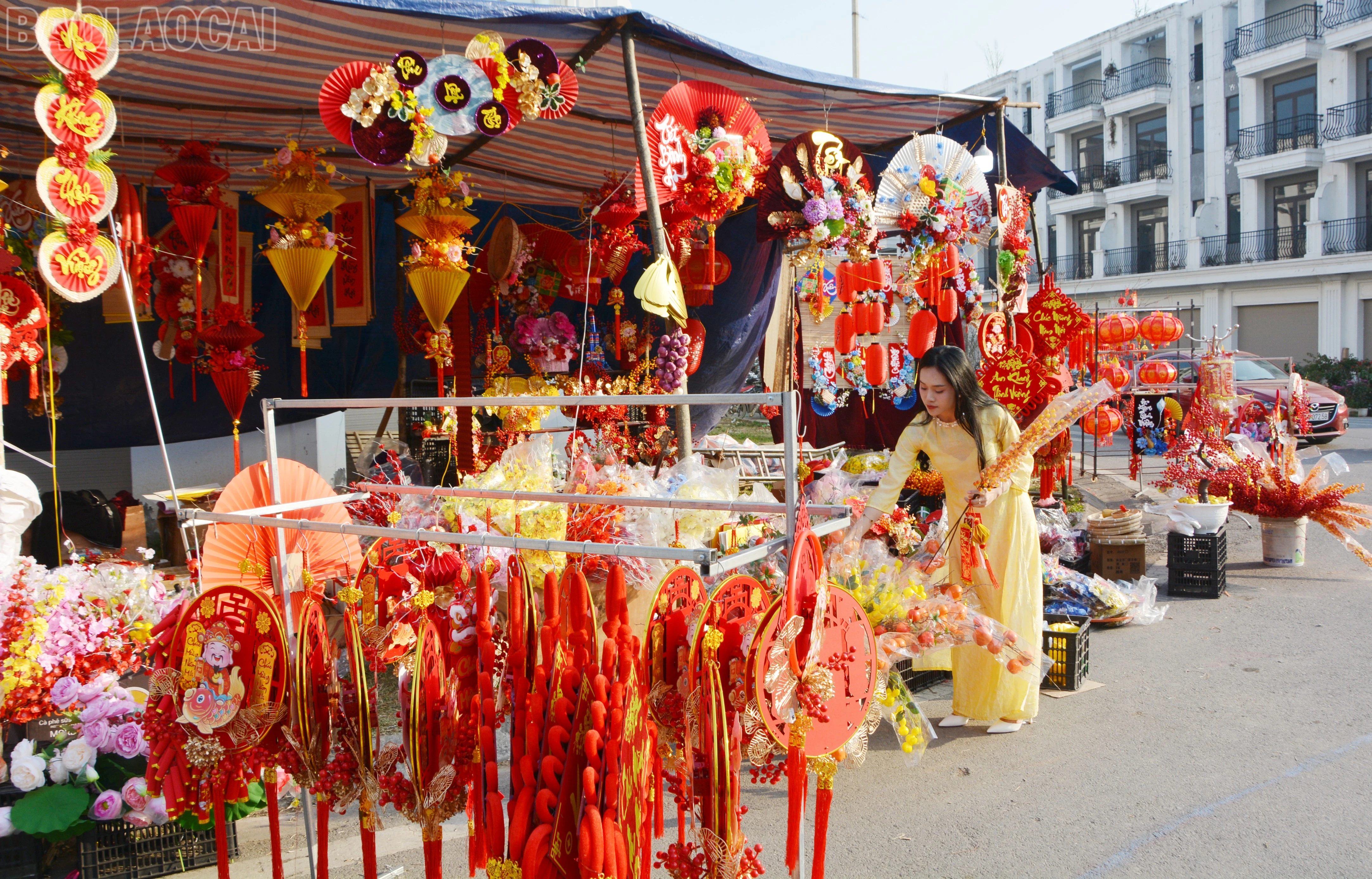 baolaocai-tl_dsc-1538.jpg