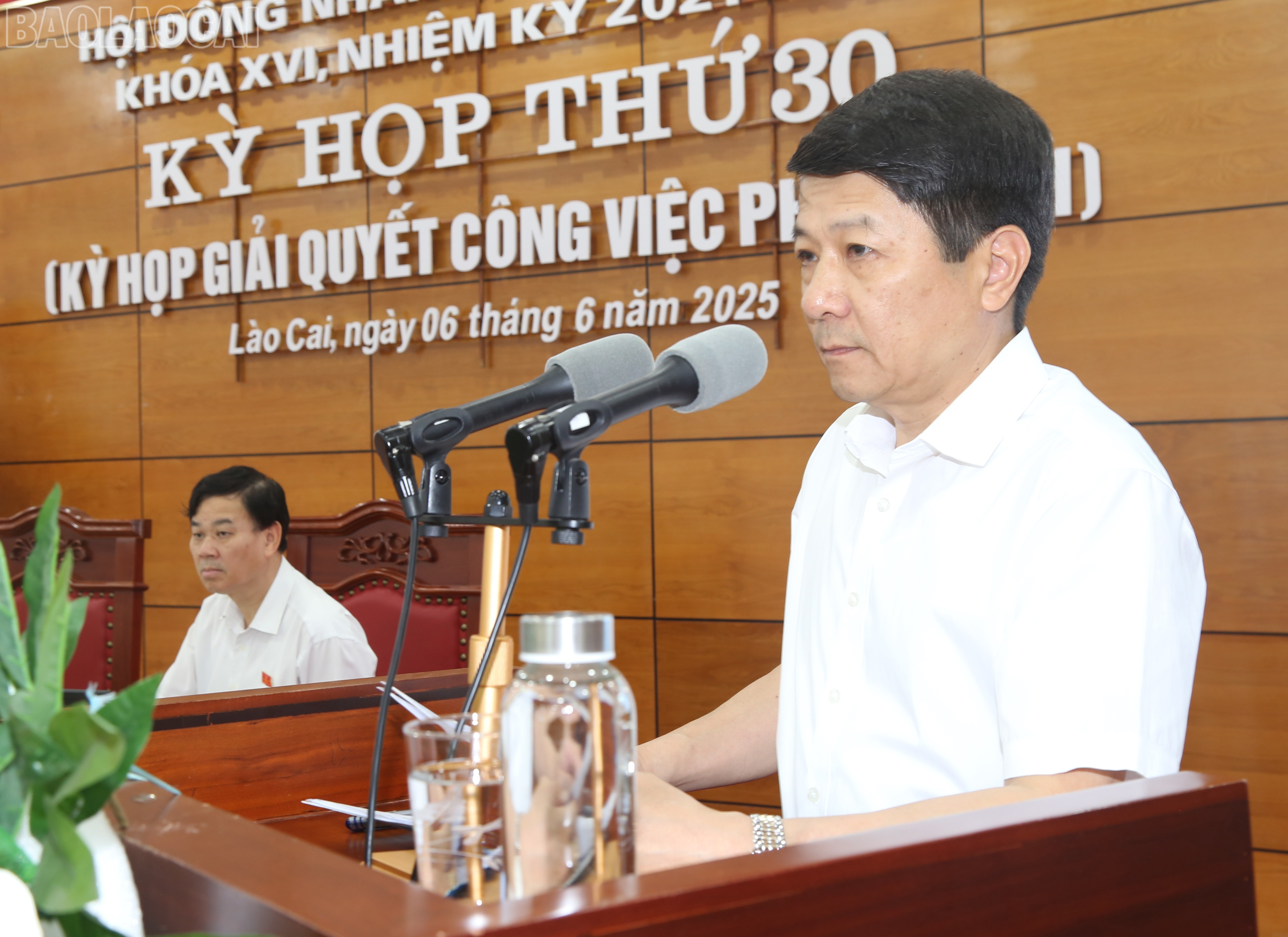 baolaocai-tl_img-7328.jpg