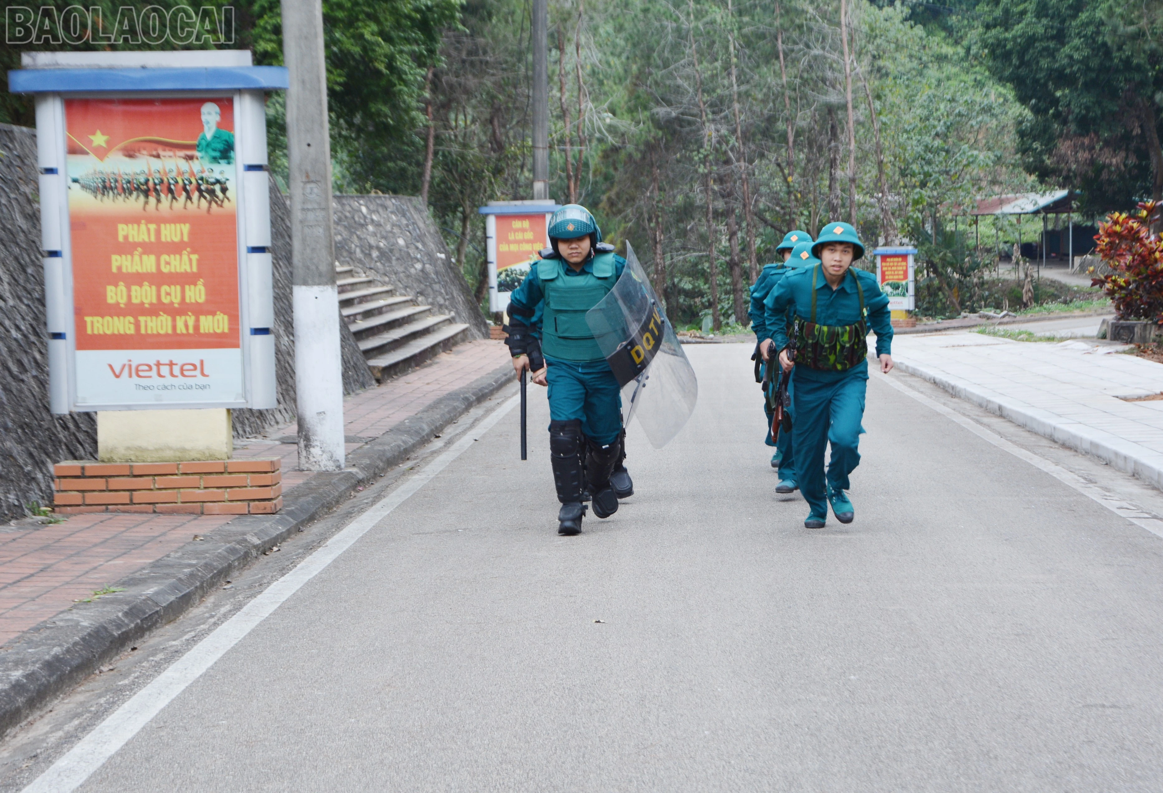 baolaocai-tl_dsc-1616.jpg