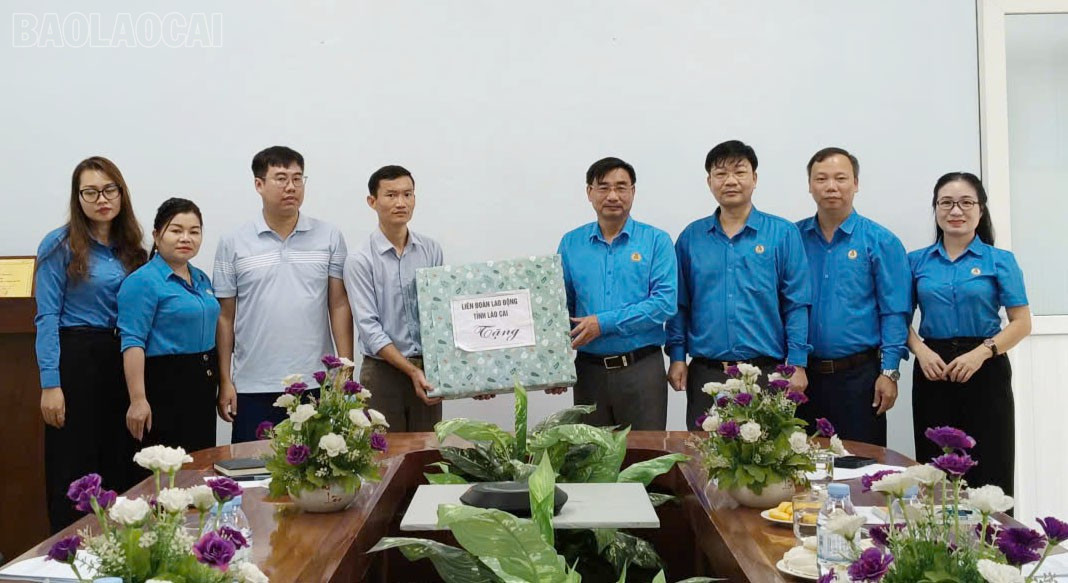 baolaocai-tl_2-ct-299-2.jpg