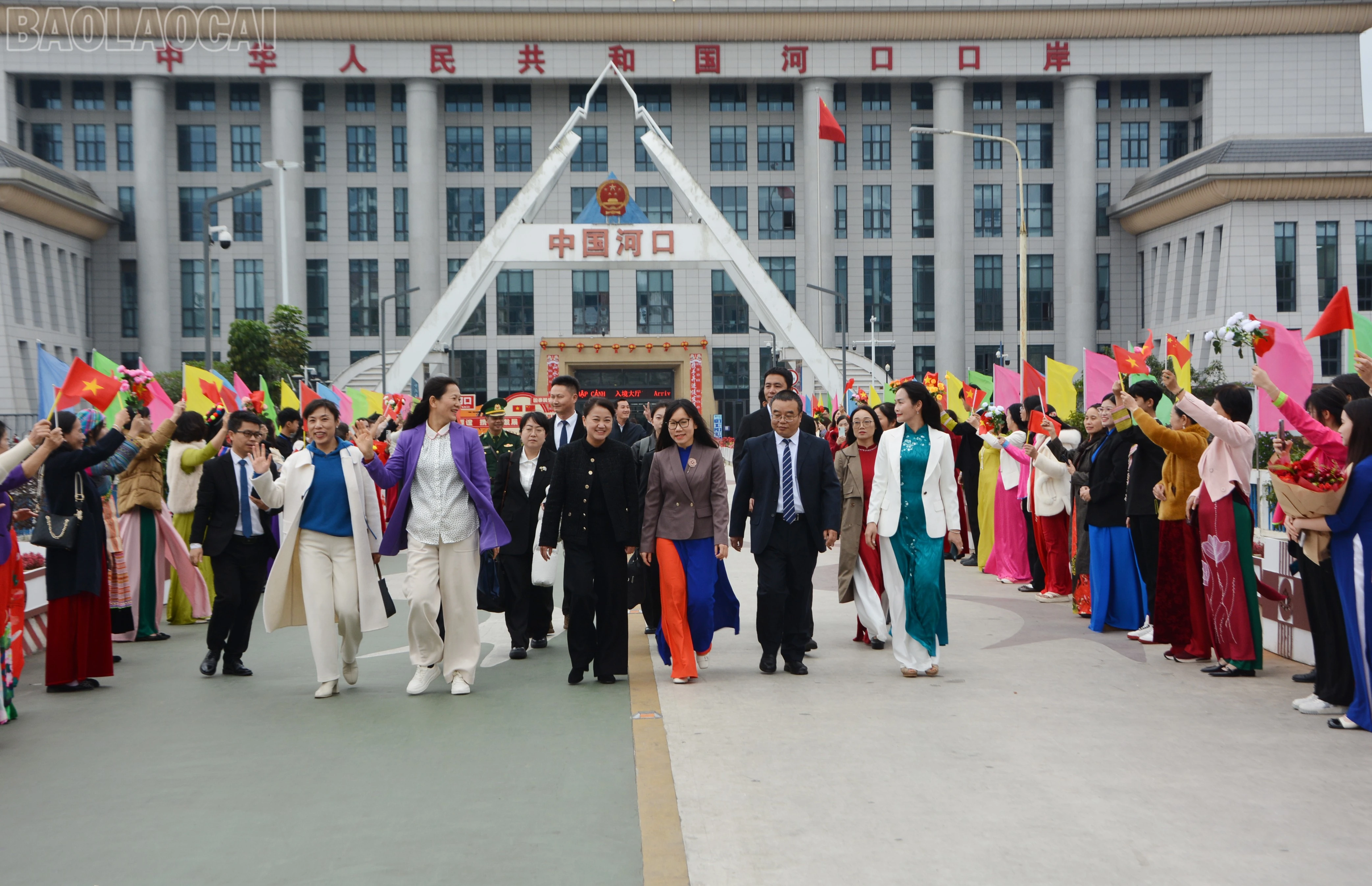 baolaocai-tl_dsc-1161.jpg