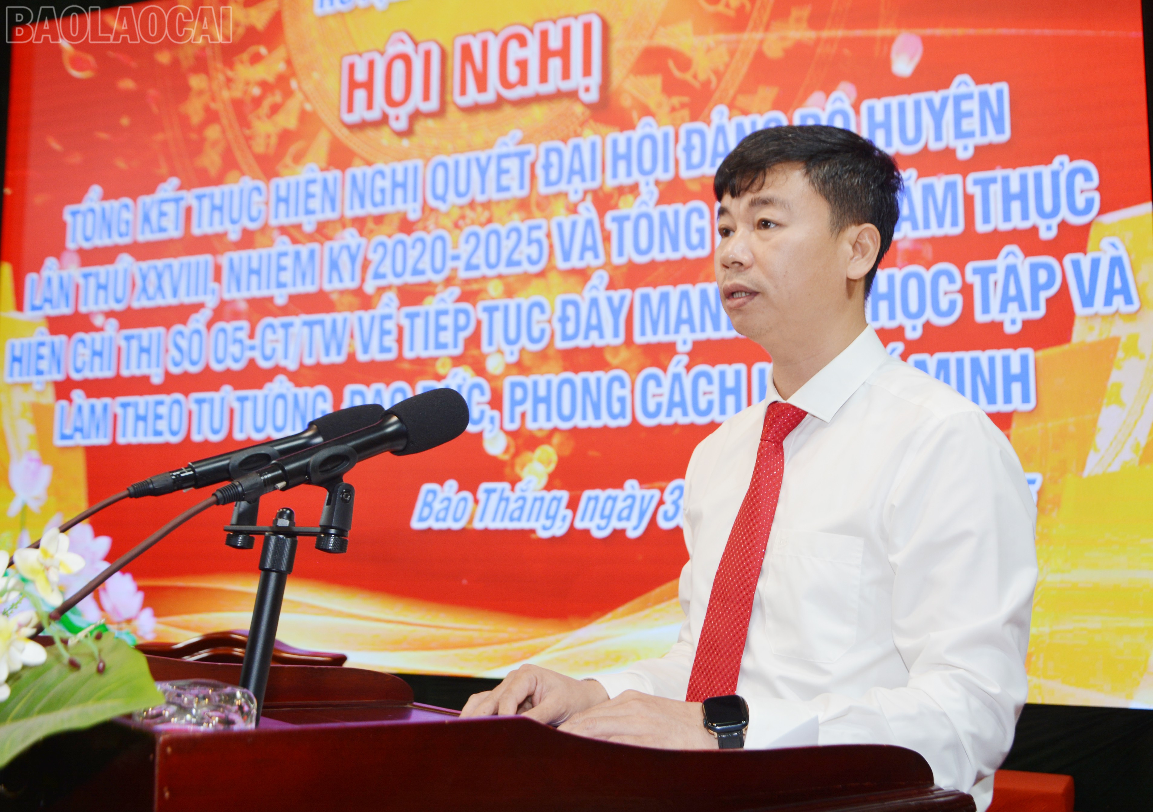baolaocai-tl_dsc-6615.jpg