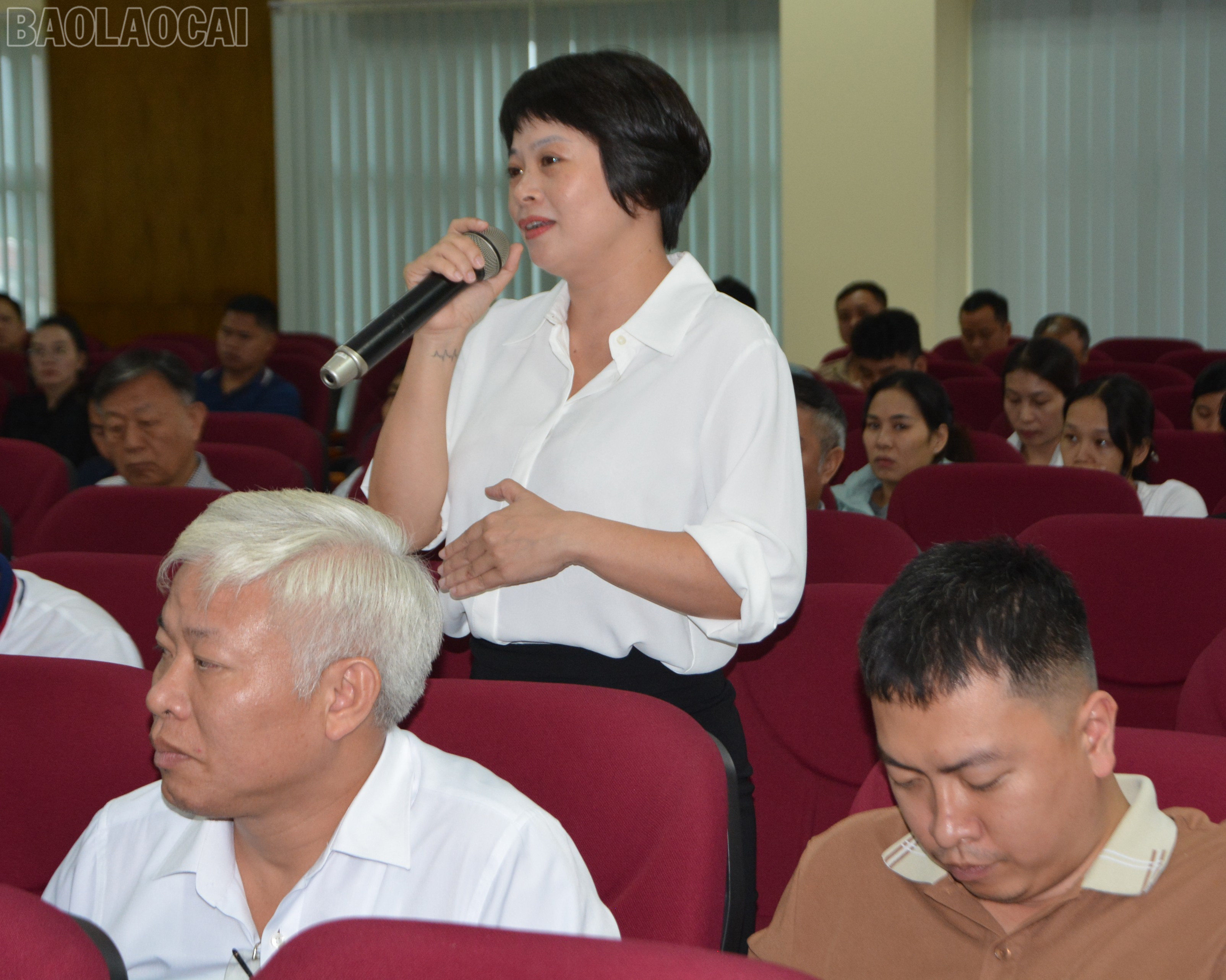 baolaocai-tl_dsc-9018.jpg