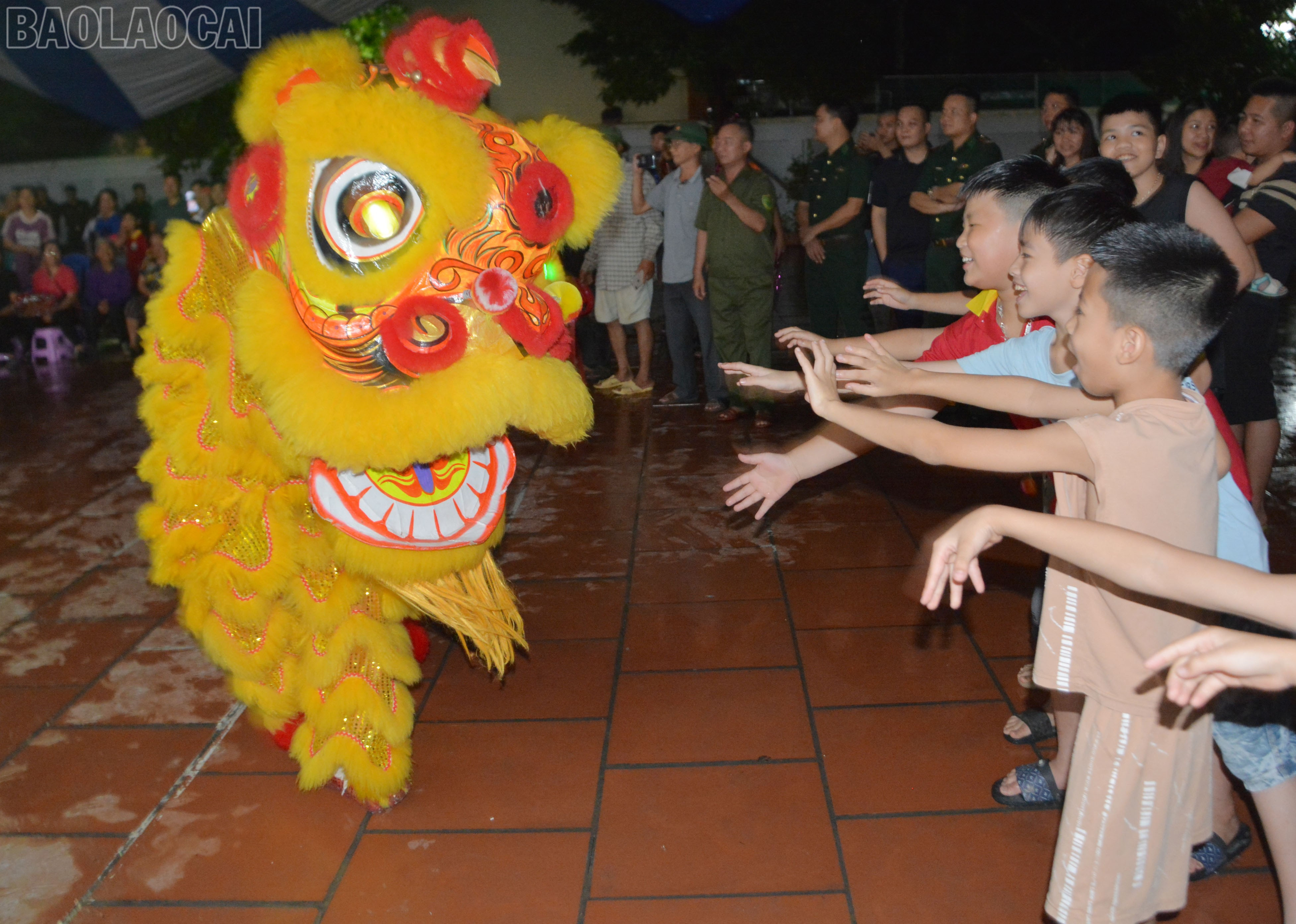 baolaocai-tl_dsc-8730.jpg