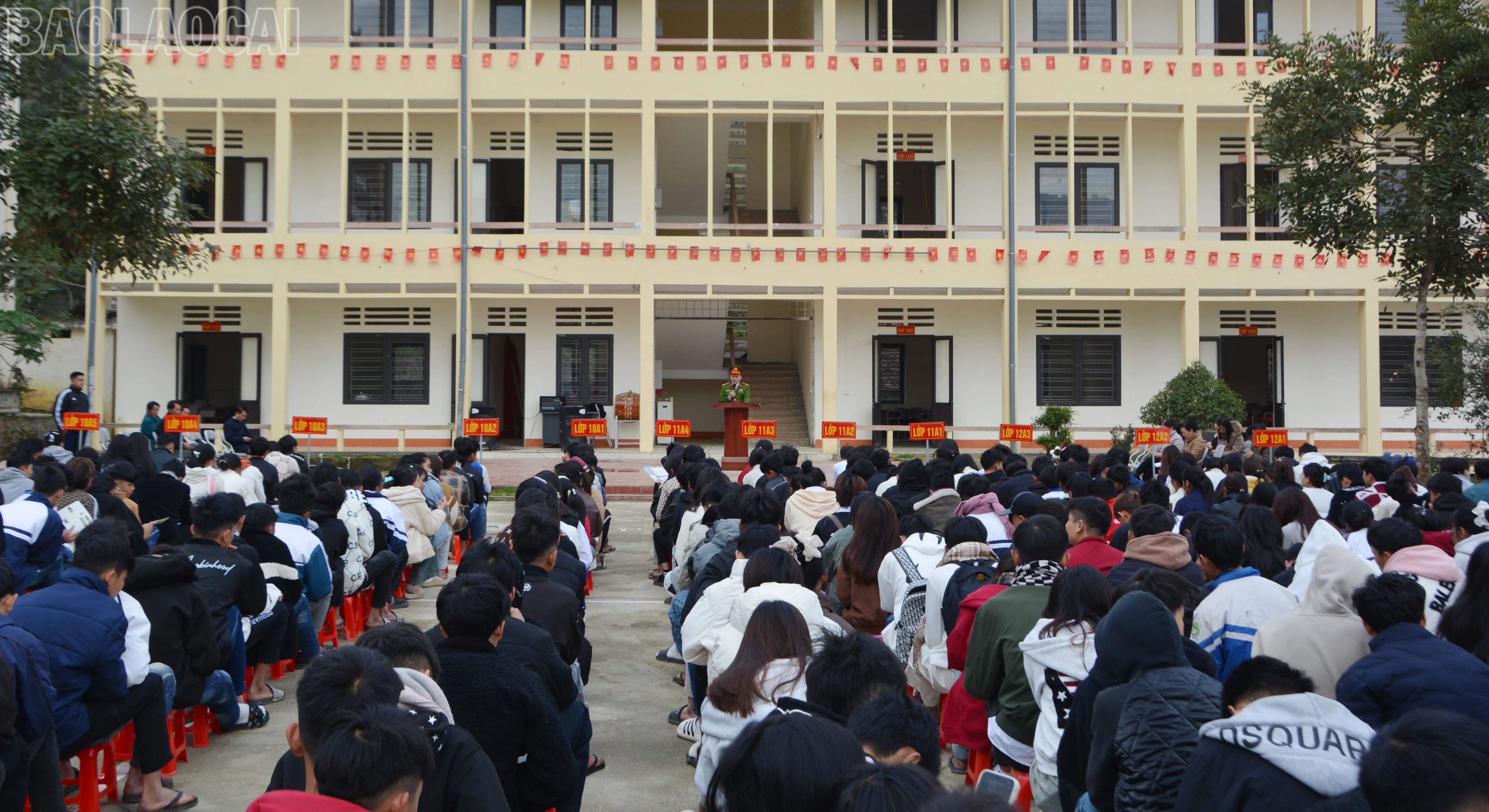 baolaocai-tl_dsc-0271.jpg