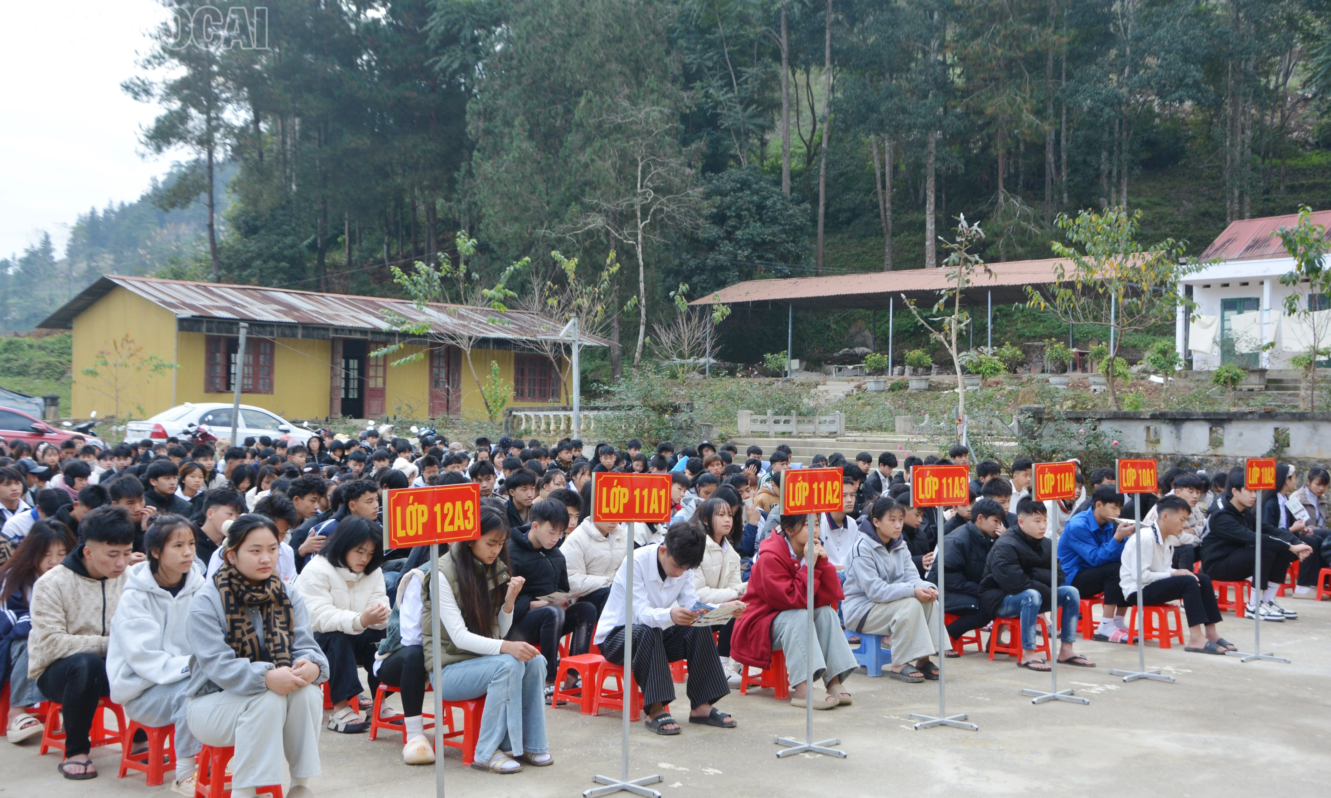 baolaocai-tl_dsc-0275.jpg