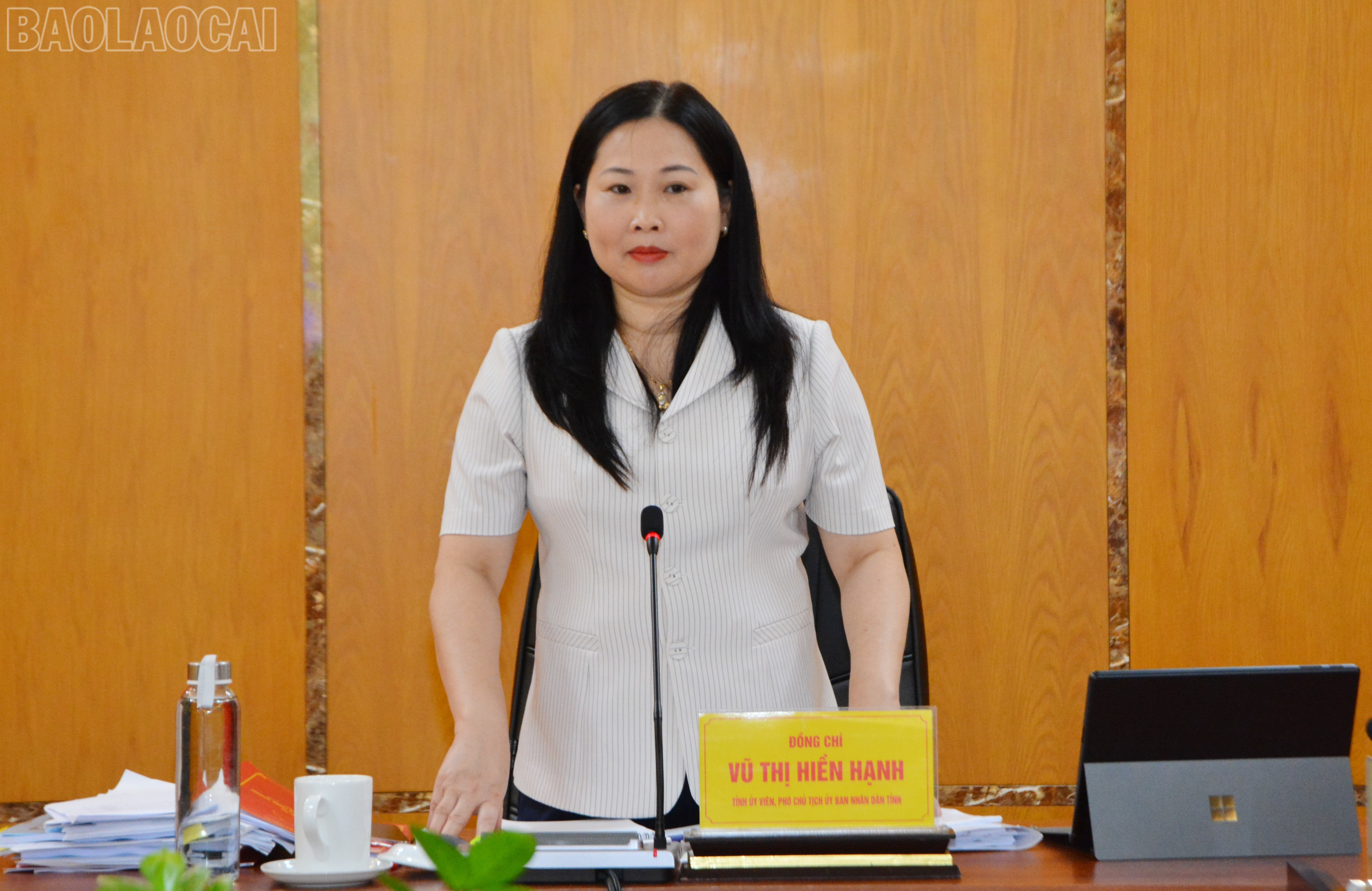 Đồng chí Vũ Thị Hiền Hạnh, Phó Chủ tịch UBND tỉnh phát biểu góp ý kiến văn kiện đại hội đảng bộ các xã. baolaocai-tl_dsc-7851.jpg