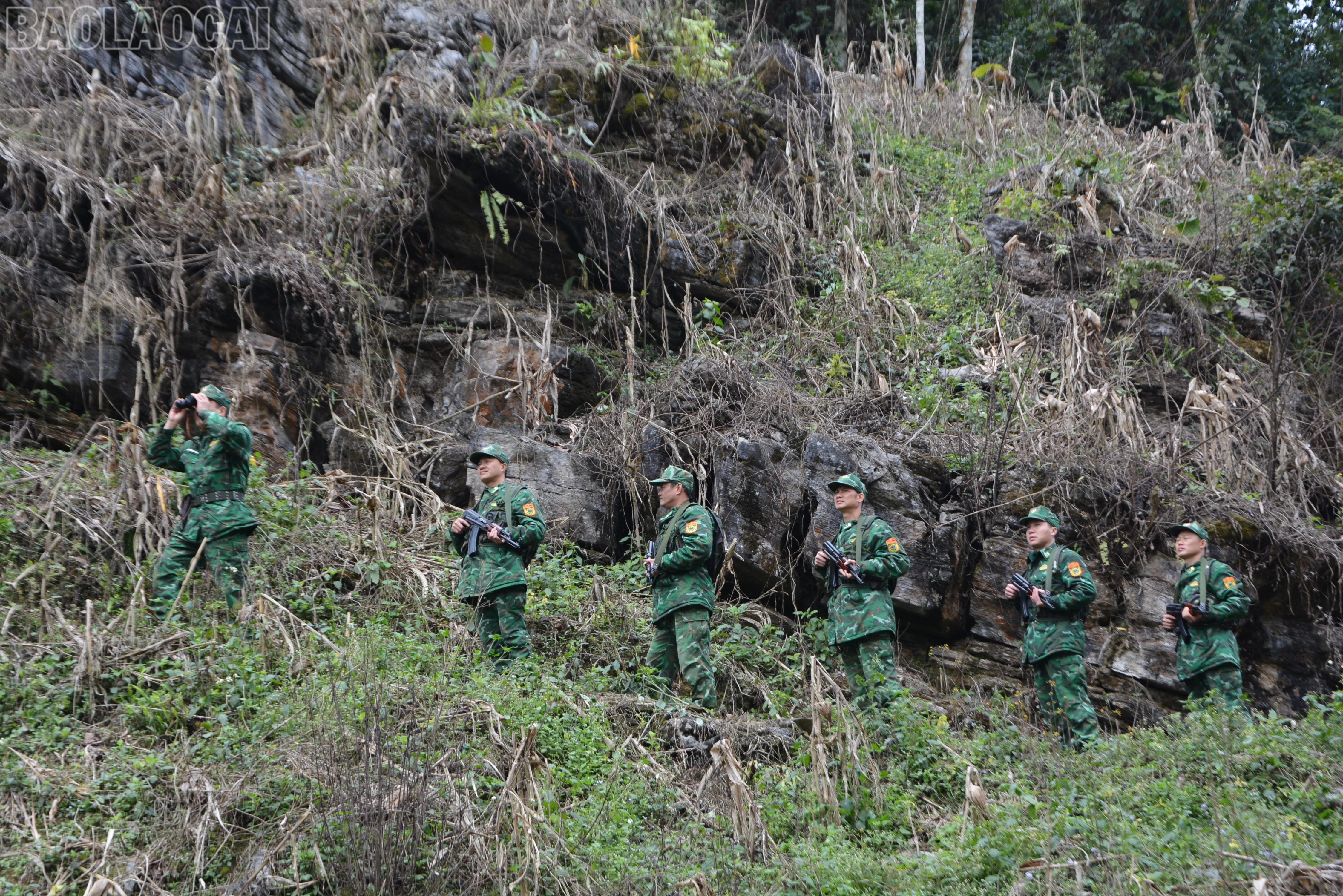 baolaocai-tl_dsc-1694.jpg