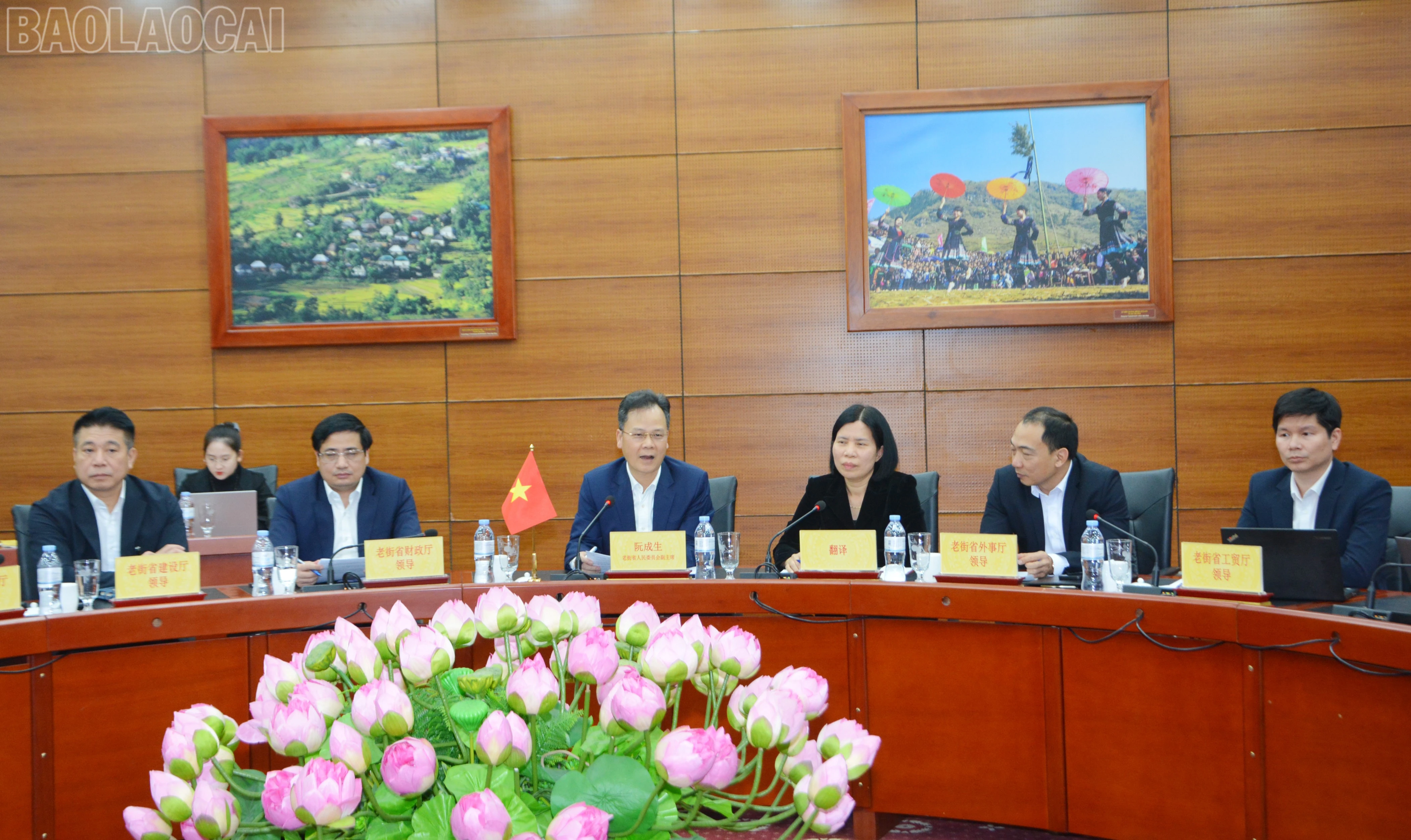 baolaocai-tl_dsc-0498.jpg