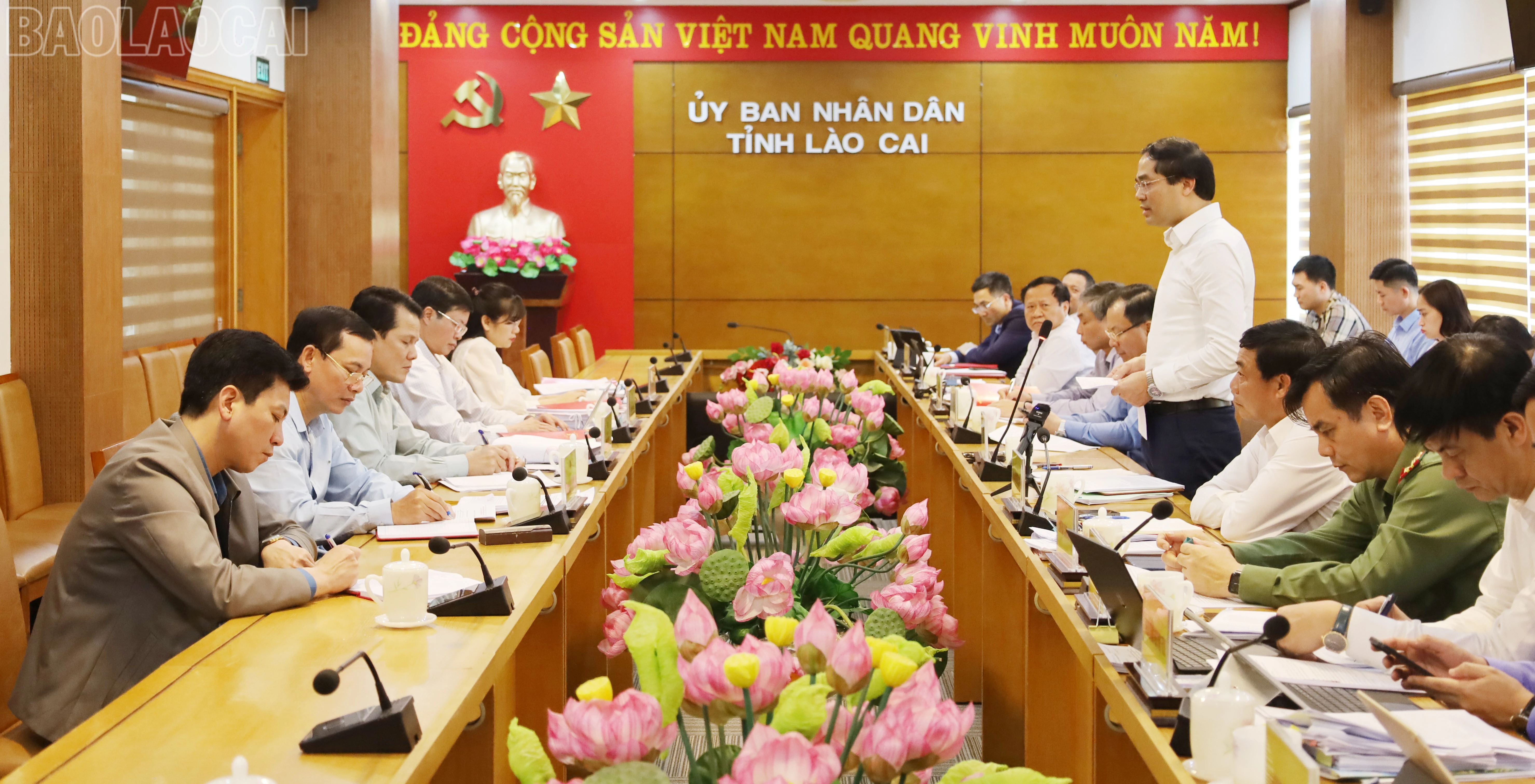 baolaocai-tl_img-0288.jpg