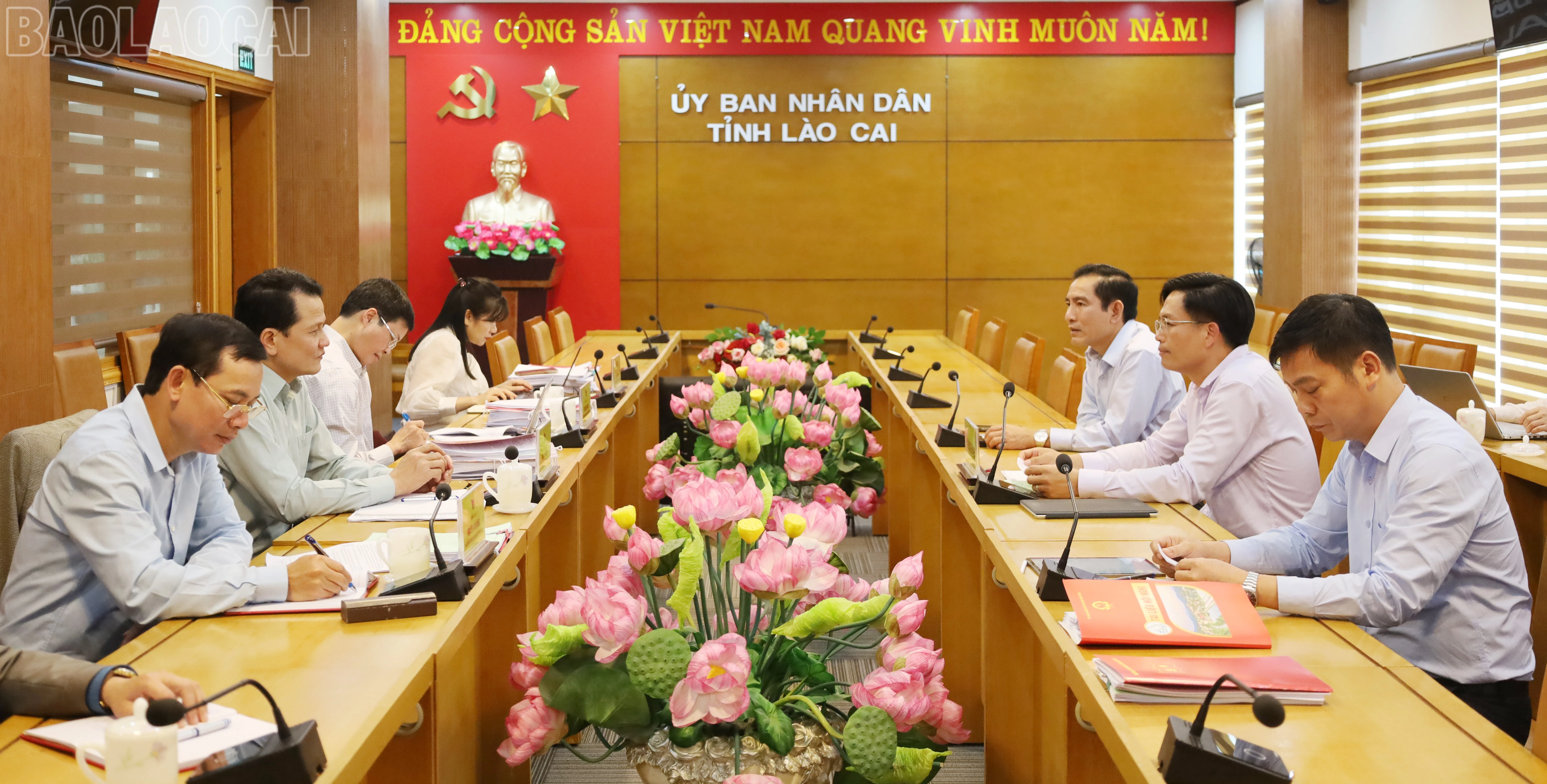 baolaocai-tl_img-0298.jpg