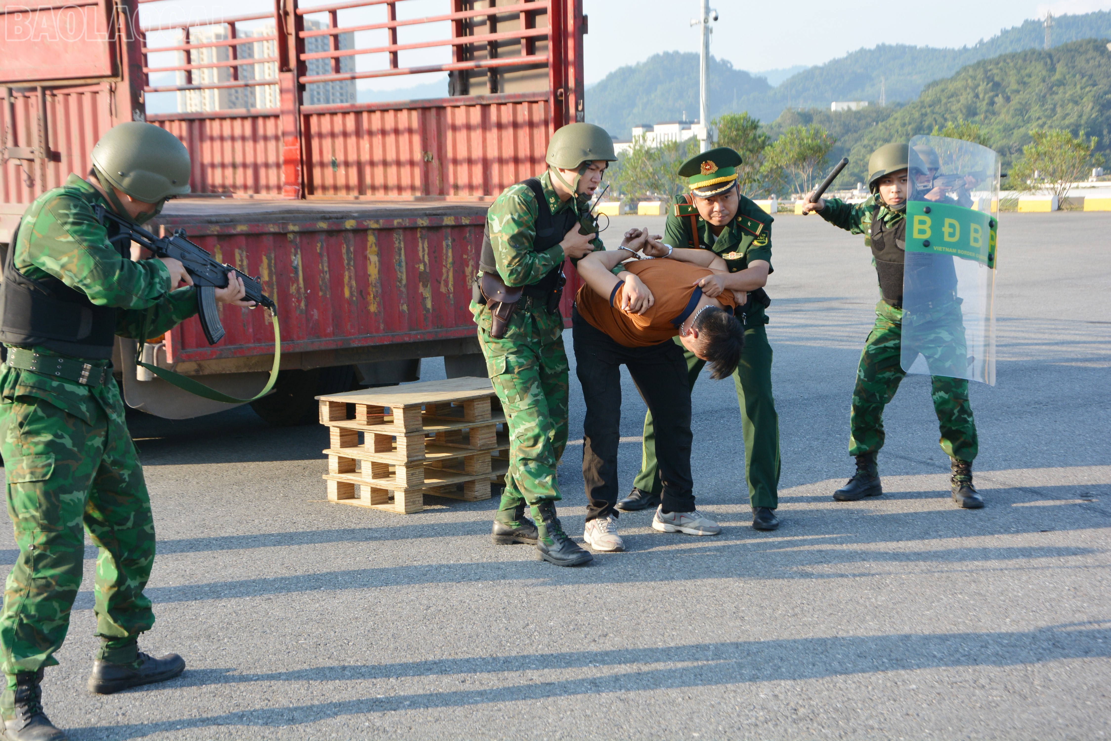 baolaocai-tl_dsc-9133.jpg