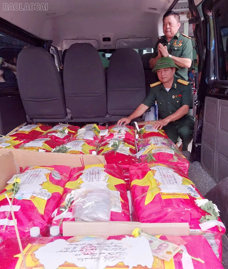 baolaocai-tl_z6909310165614-25343588aa0937d61331338887141719.jpg