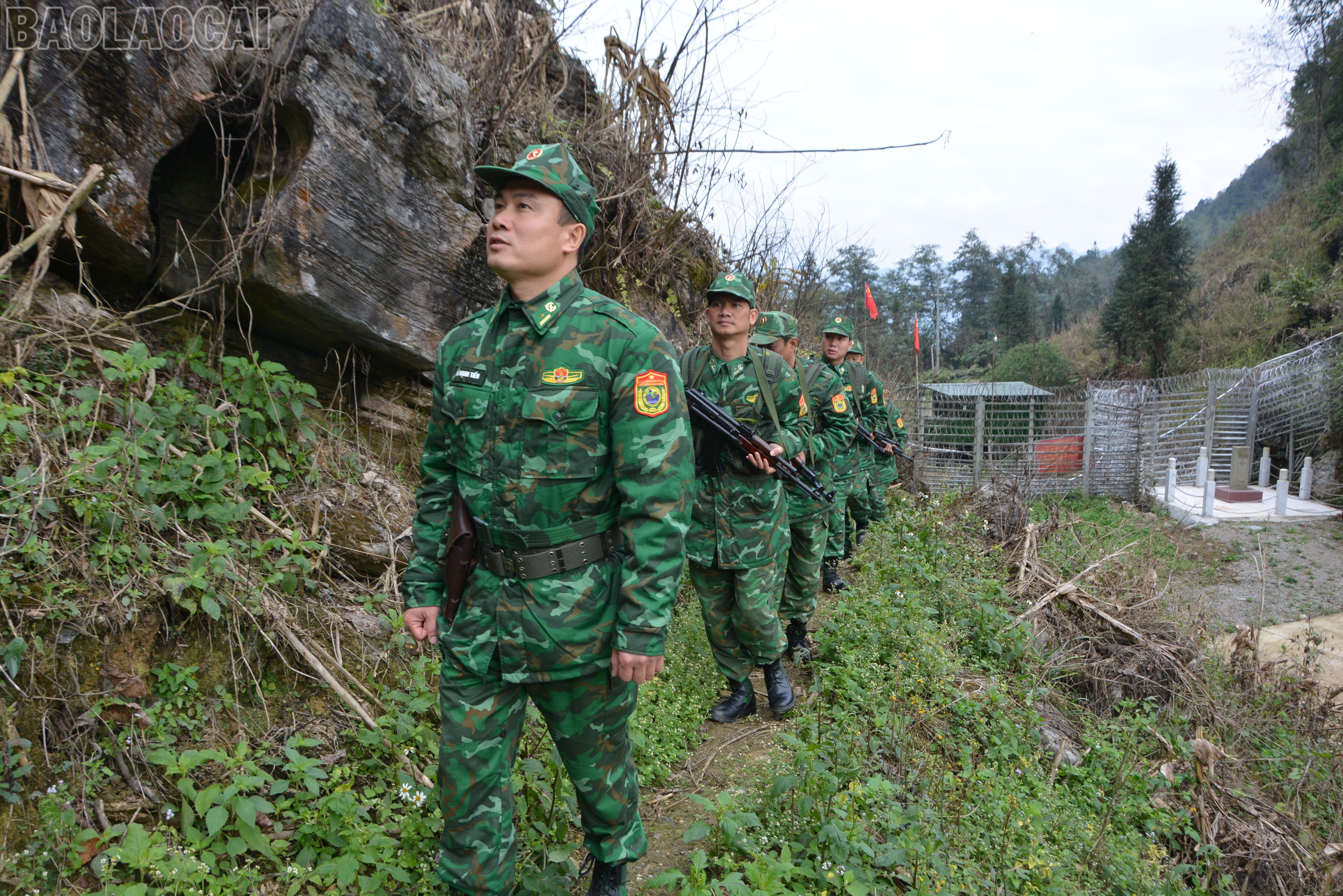 baolaocai-tl_dsc-1669.jpg