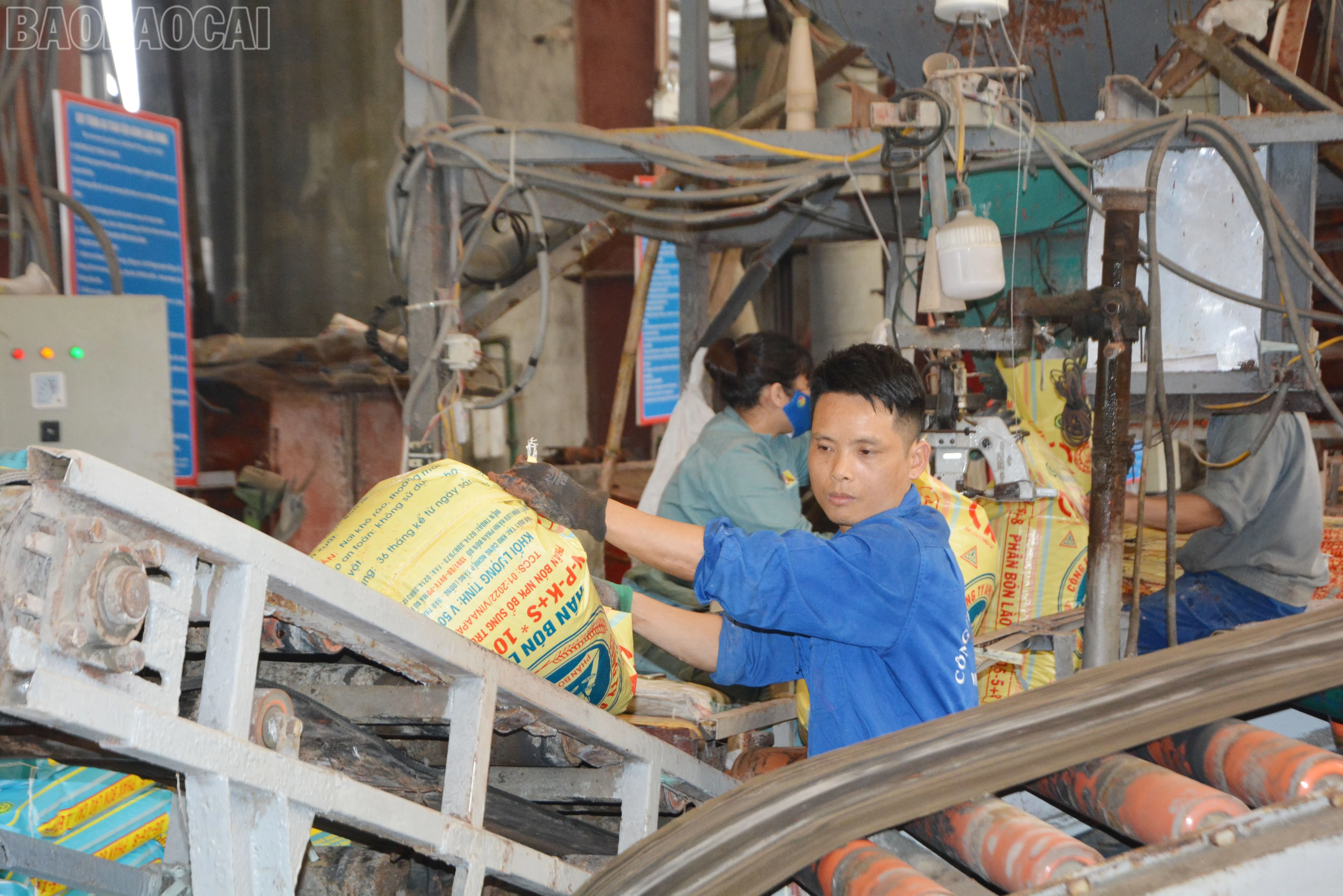 baolaocai-tl_dsc-0840.jpg
