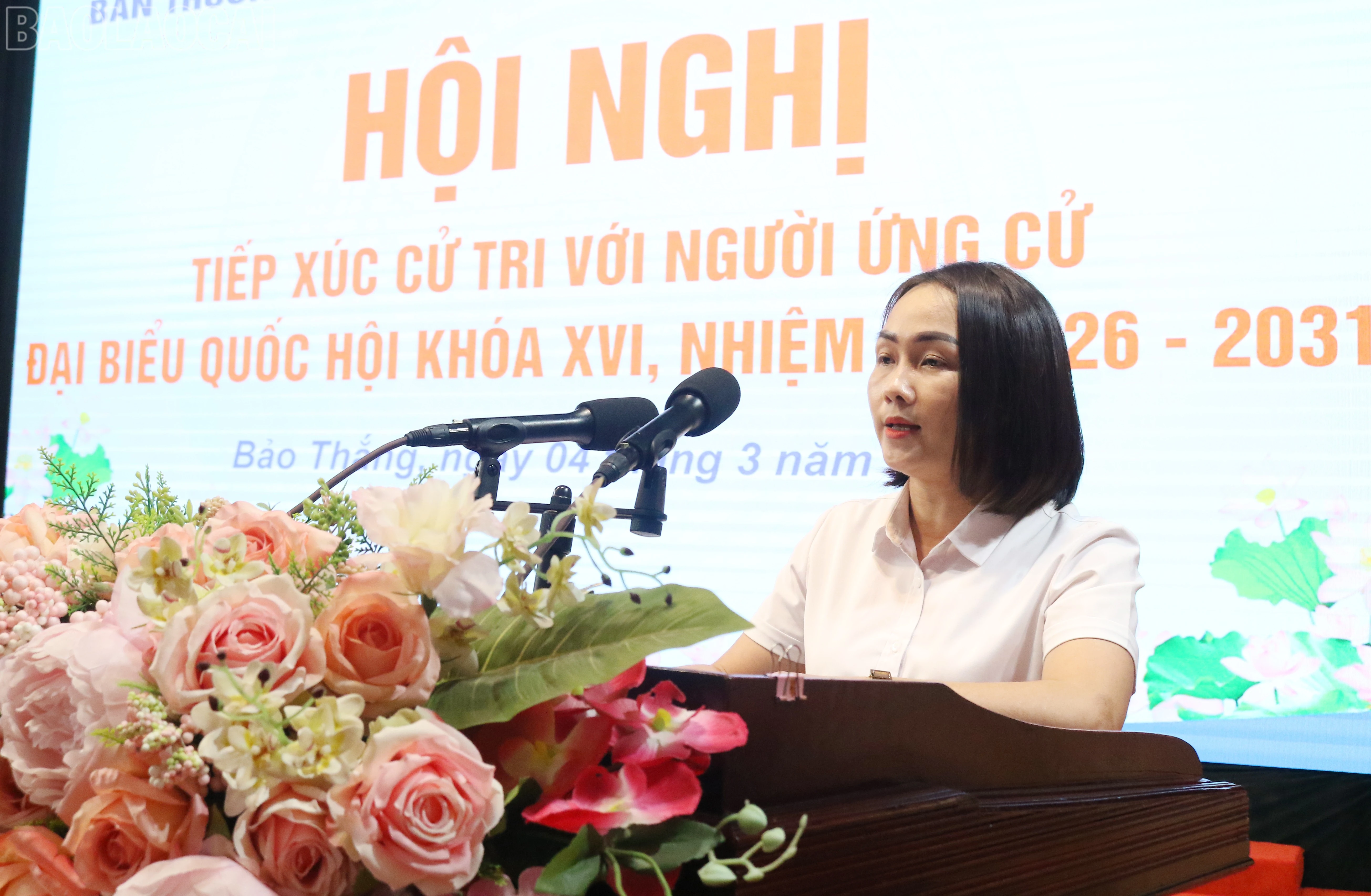 baolaocai-tl_img-3861.jpg