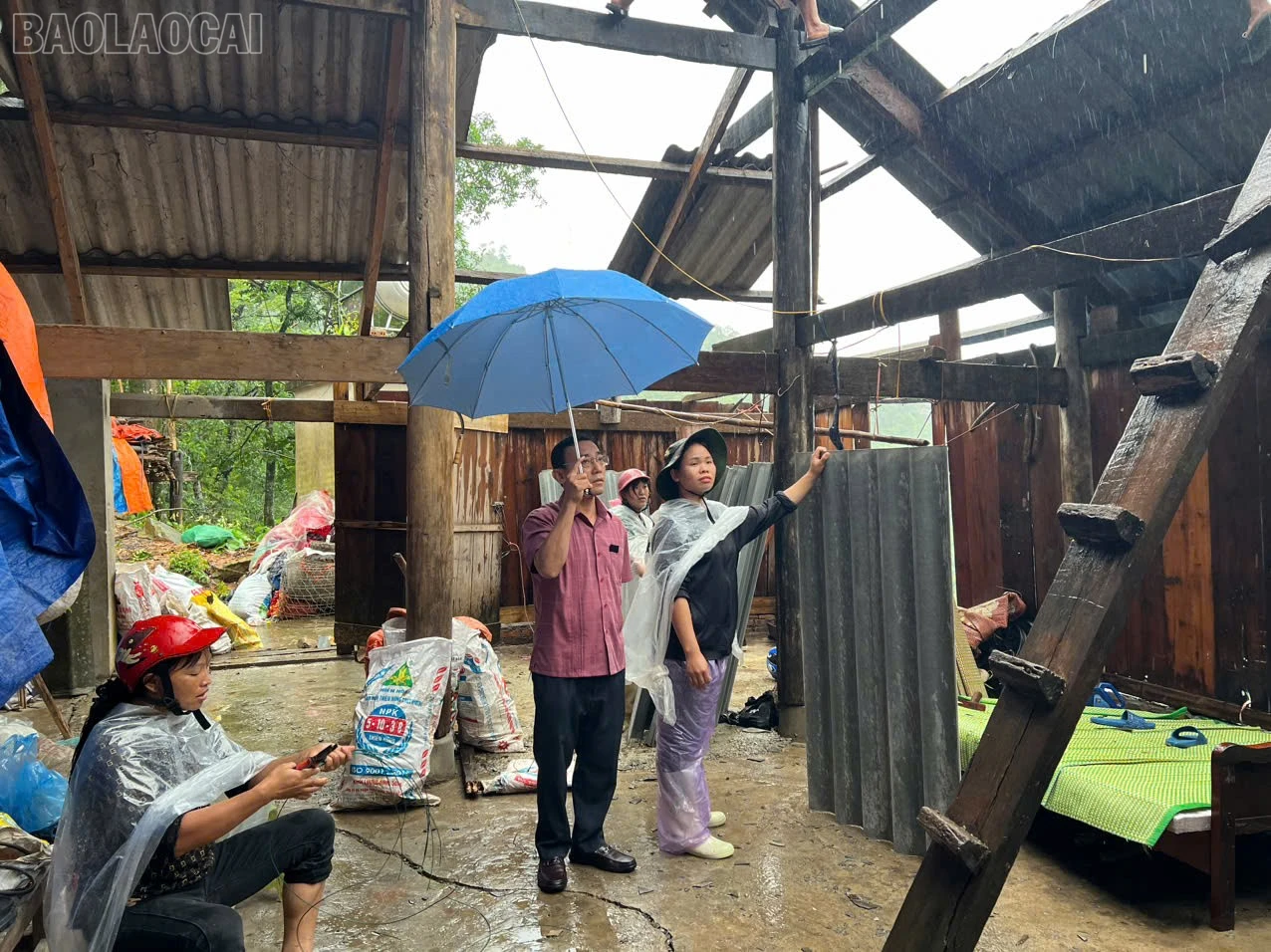 baolaocai-tl_z7064885441765-54e47c736fc062e58c2ef9f2d69e0068.jpg