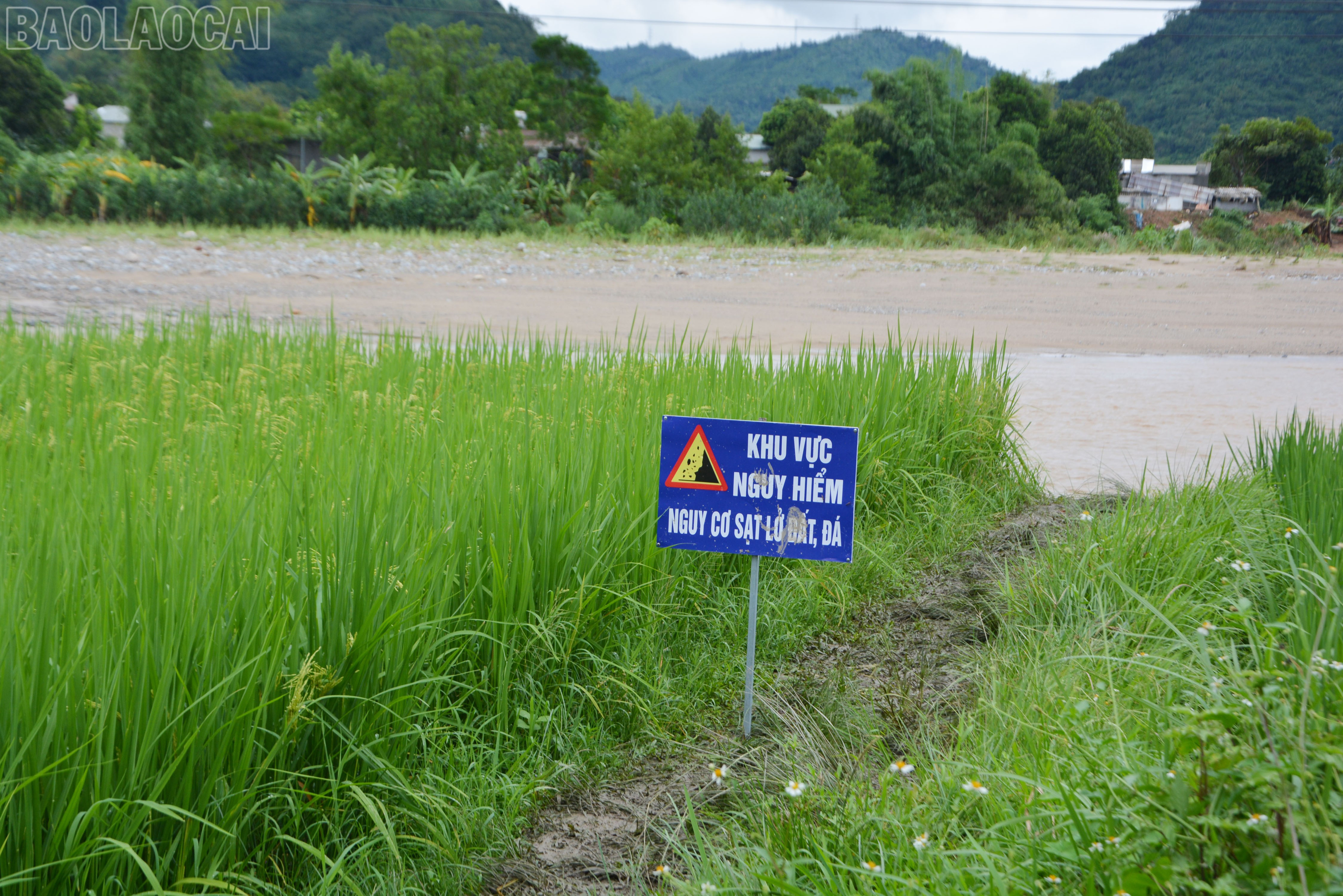 Chính quyền địa phương cắm biển cảnh báo người dân. baolaocai-tl_dsc-8899.jpg